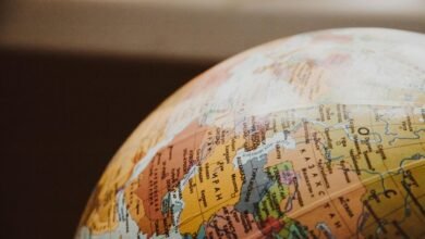 international call study analysis