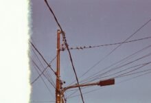 support line response metrics